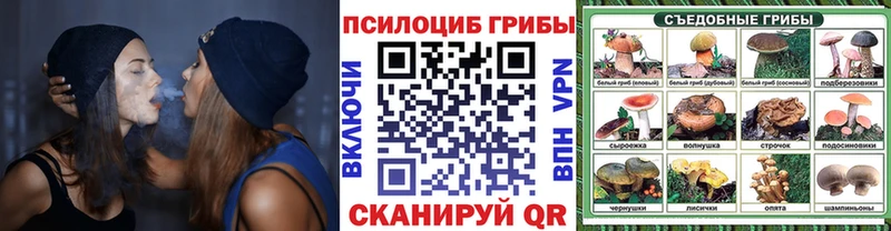 Псилоцибиновые грибы Cubensis  Уссурийск 